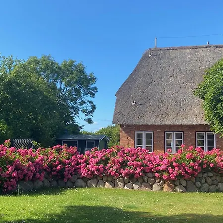 Haus Lichtblick Ferienhaus *