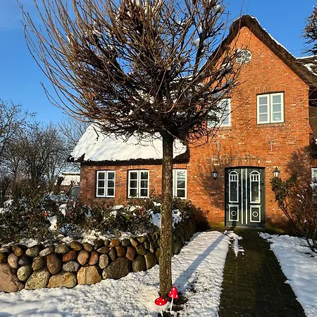 Haus Lichtblick 度假居 Oevenum